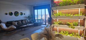 indoor_hydroponic_garden_at_home_for_beginners